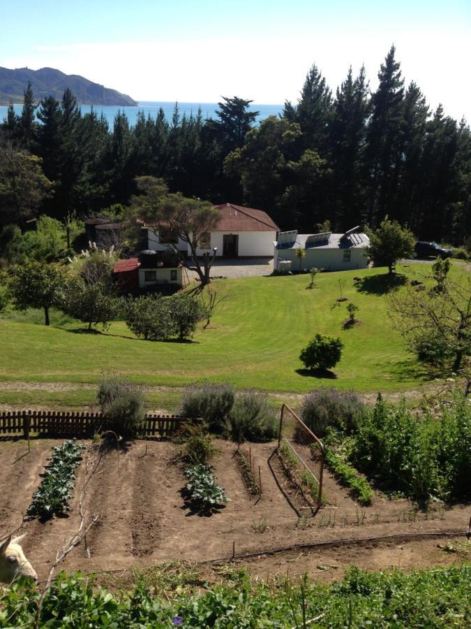Te Puia Waipiro Bay Paradise Bed & Breakfast エクステリア 写真