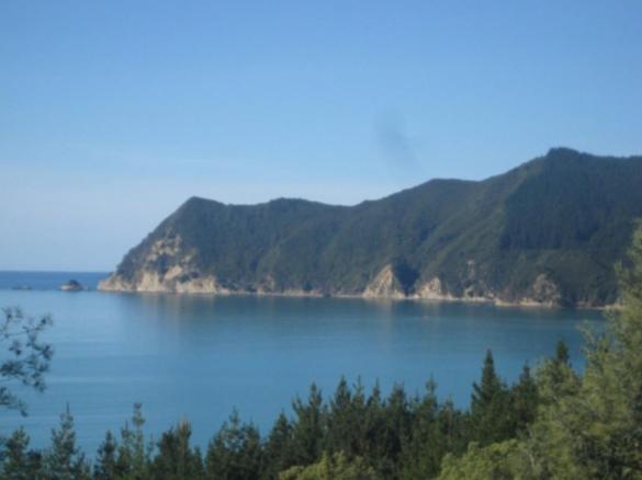 Te Puia Waipiro Bay Paradise Bed & Breakfast エクステリア 写真