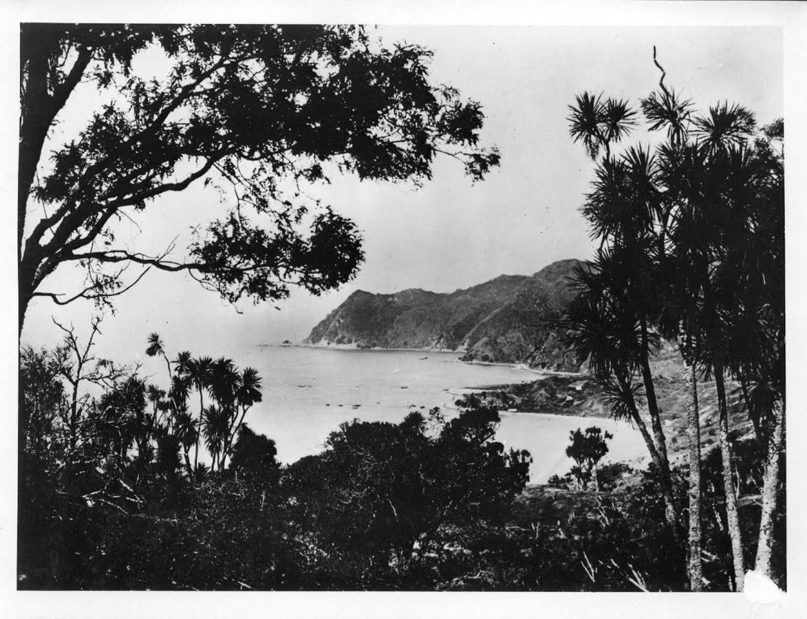 Te Puia Waipiro Bay Paradise Bed & Breakfast エクステリア 写真