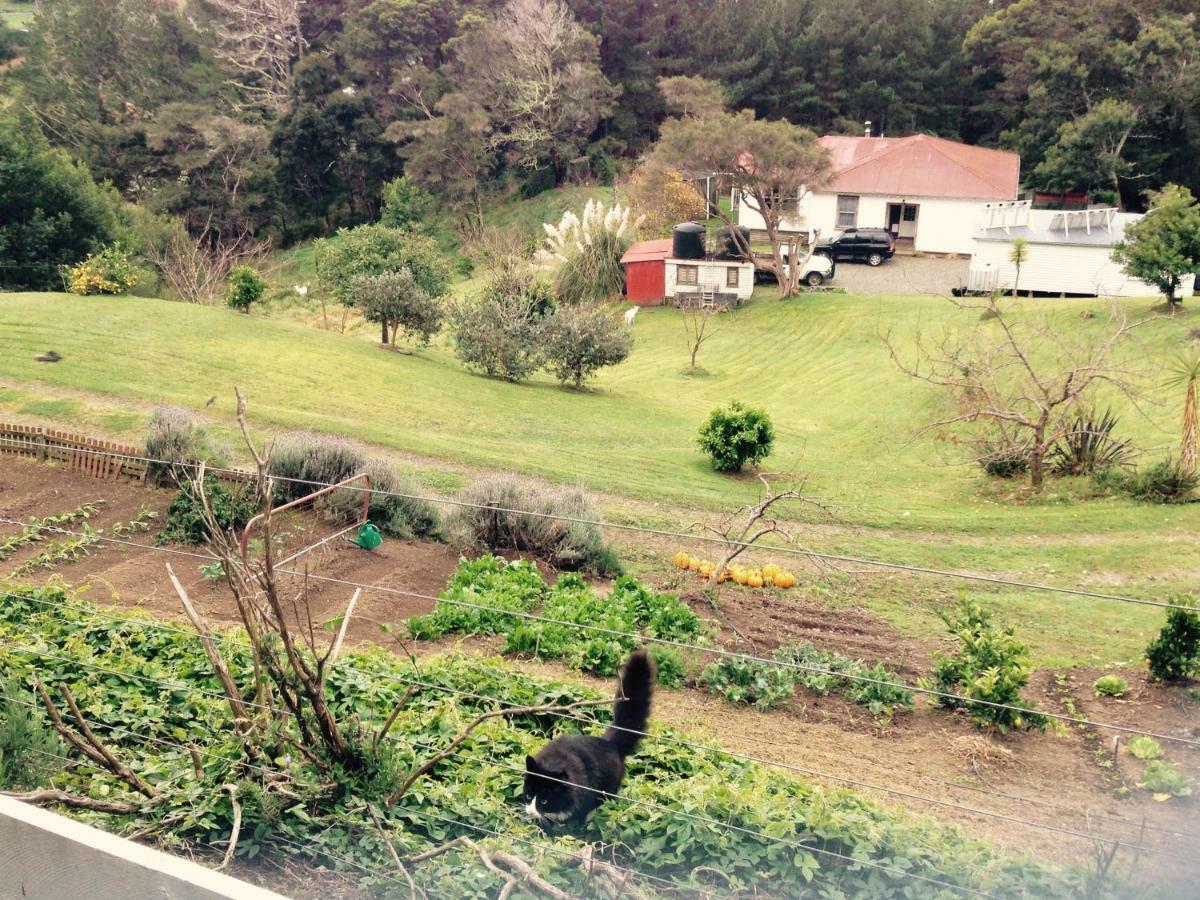 Te Puia Waipiro Bay Paradise Bed & Breakfast エクステリア 写真